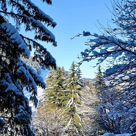 Apartment 1650 : Neuf 2p+cab, Ideal 4 Pers Proche Centre Avec Parking - Fr-1-575-188 Courchevel